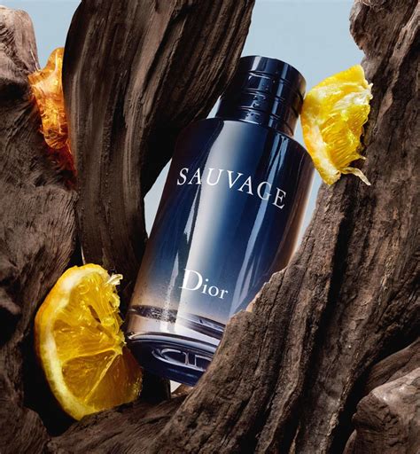 dior sauvage etd|Dior Sauvage edt fragrantica.